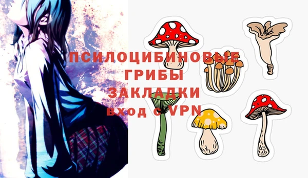 бошки Верея
