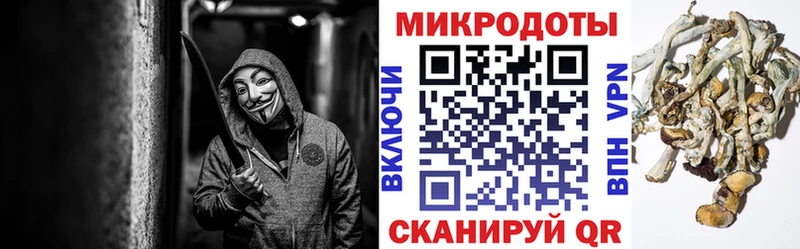 Псилоцибиновые грибы GOLDEN TEACHER  OMG онион  Калининск 